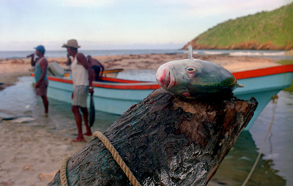 03PescaJurelCuyagua_jac