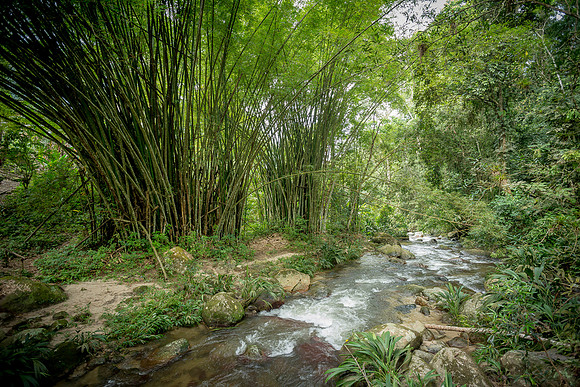 1160Parque_HenriPittier_13NOV_JAC